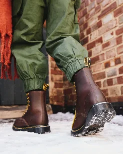 Boots 1460 Pascal DM's Wintergrip en Cuir in Marron